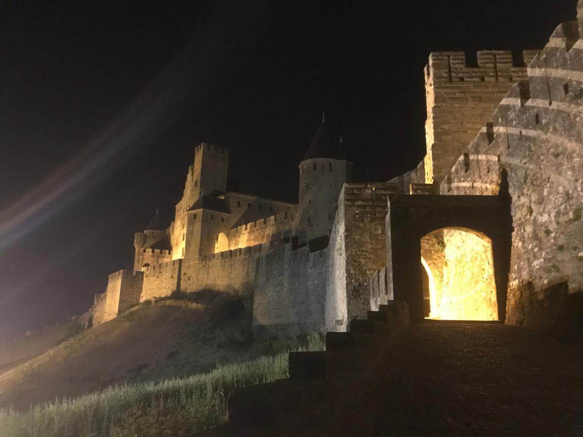 Le Clos Saint Michel Каркасон Екстериор снимка