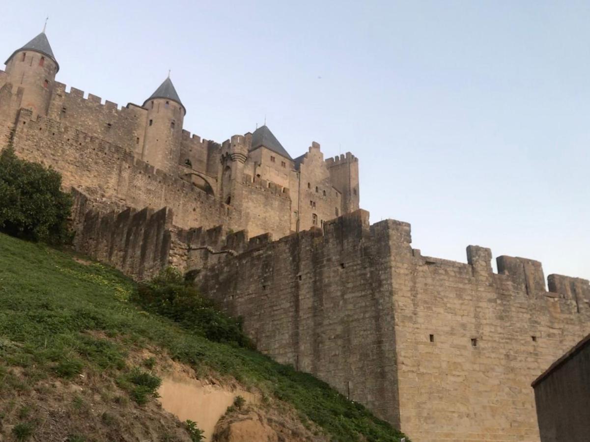 Le Clos Saint Michel Каркасон Екстериор снимка