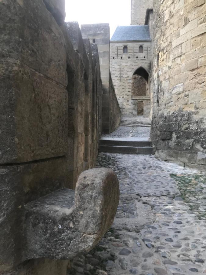 Le Clos Saint Michel Каркасон Екстериор снимка